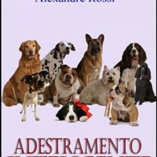 Adestramento Inteligente e Comportamento Animal - Alexandre Rossi