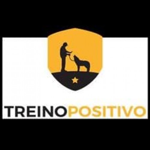 Treino Positivo 2.0: Adestramento de Cães - Rafael dos Santos