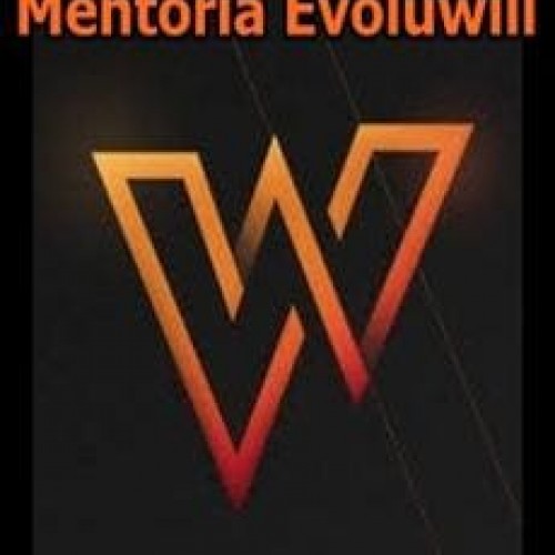 Mentoria Evoluwill - Willian Matheus Arnhold