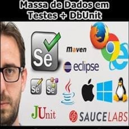 Estratégias Para Gerenciar Massa de Dados em Testes + DbUnit - Francisco Wagner Costa