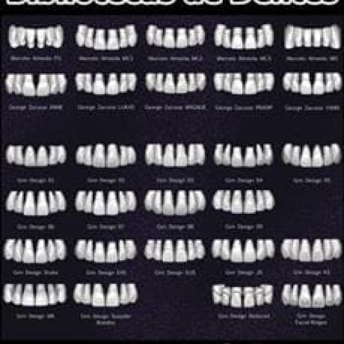 Pack Bibliotecas de Dentes Para Exocad